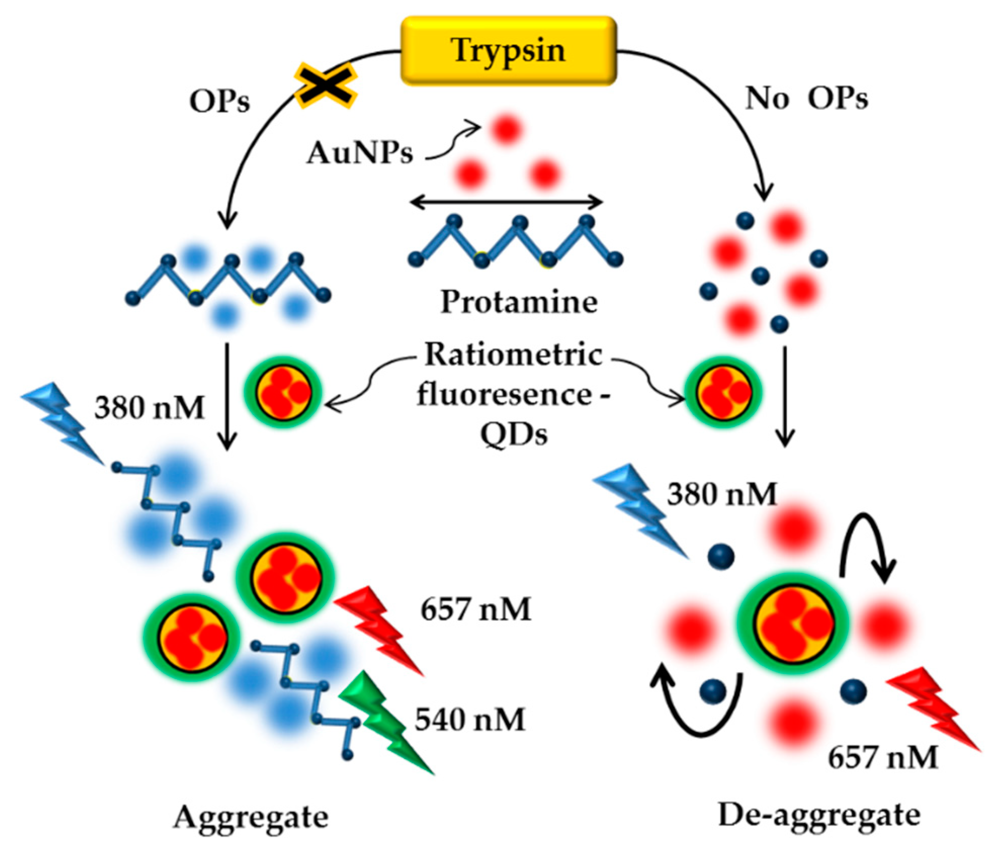 Sensors 21 03856 g008