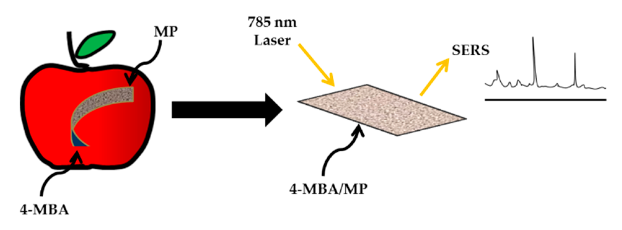 Sensors 21 03856 g010