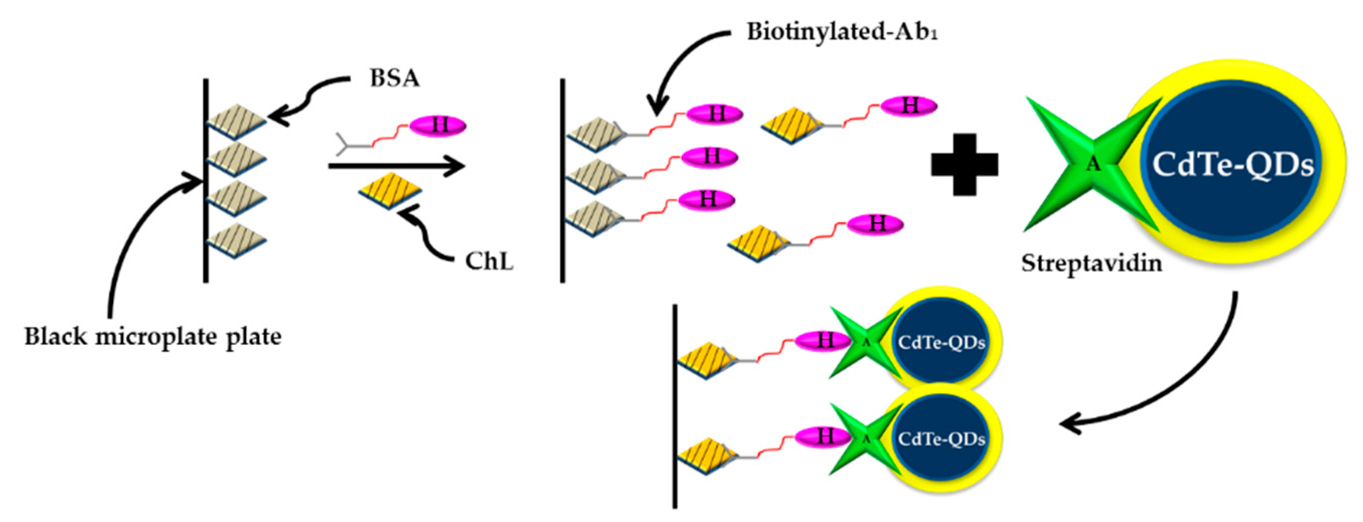 Sensors 21 03856 g011