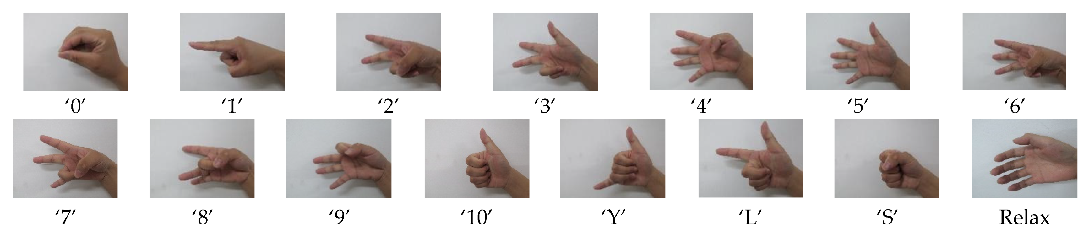 Sensors | Free Full-Text | Investigation on the Sampling Frequency and  Channel Number for Force Myography Based Hand Gesture Recognition | HTML