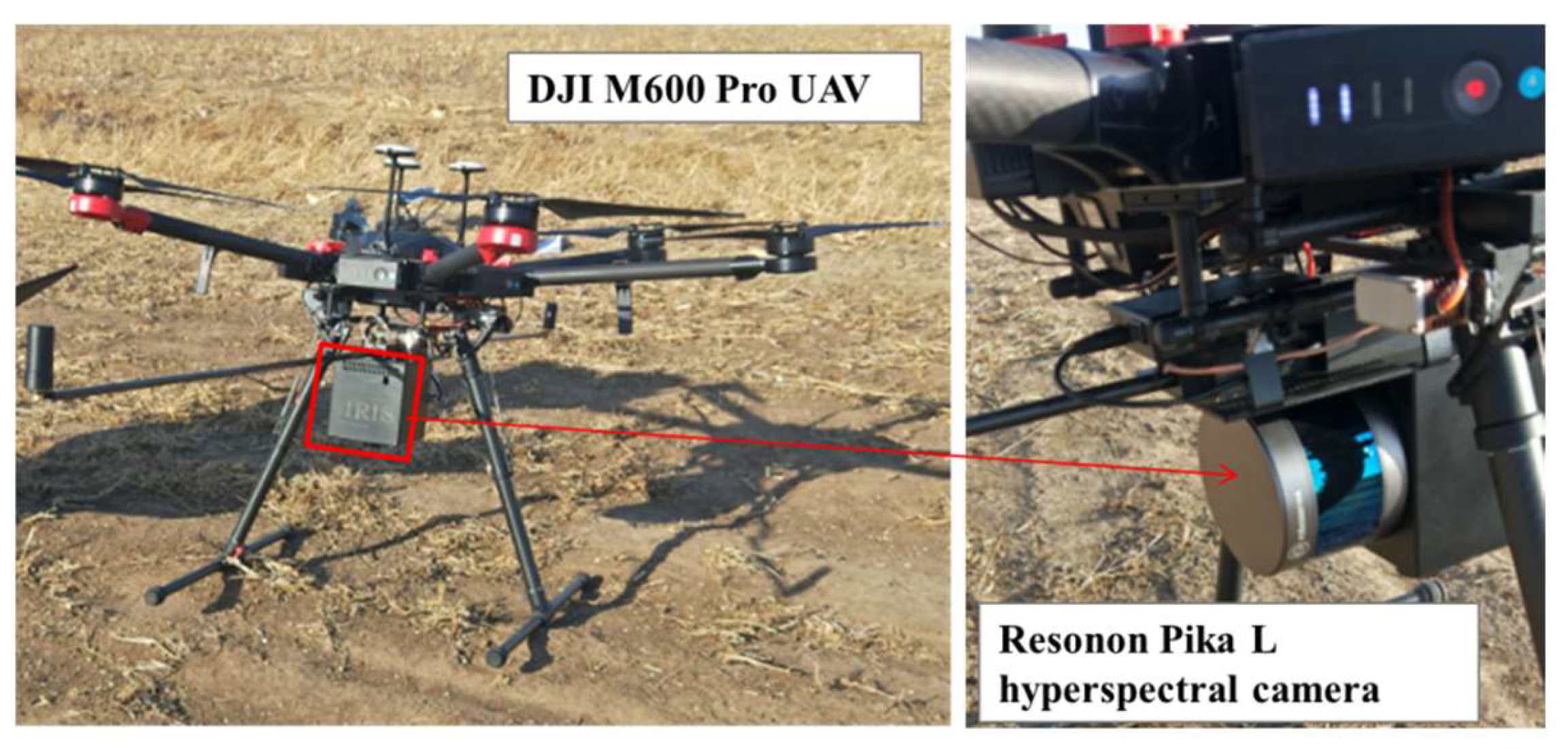 Sensors 21 03919 g003 Sensors 21 03919 g003