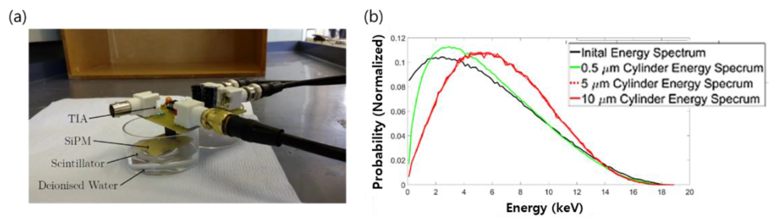 Sensors 21 04047 g007