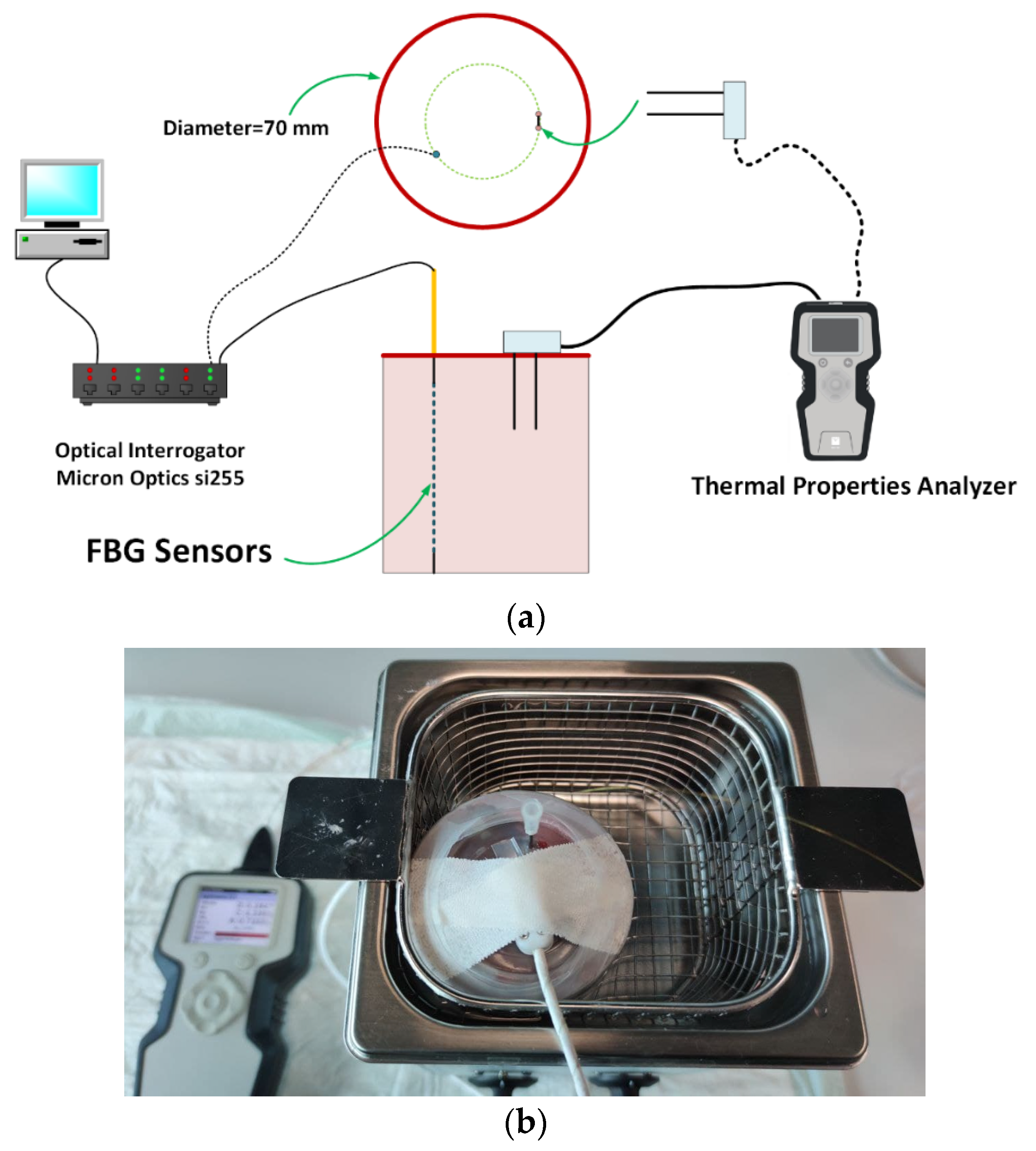 Sensors | Free Full-Text | Measurement of Ex Vivo Liver, Brain and Pancreas  Thermal Properties as Function of Temperature
