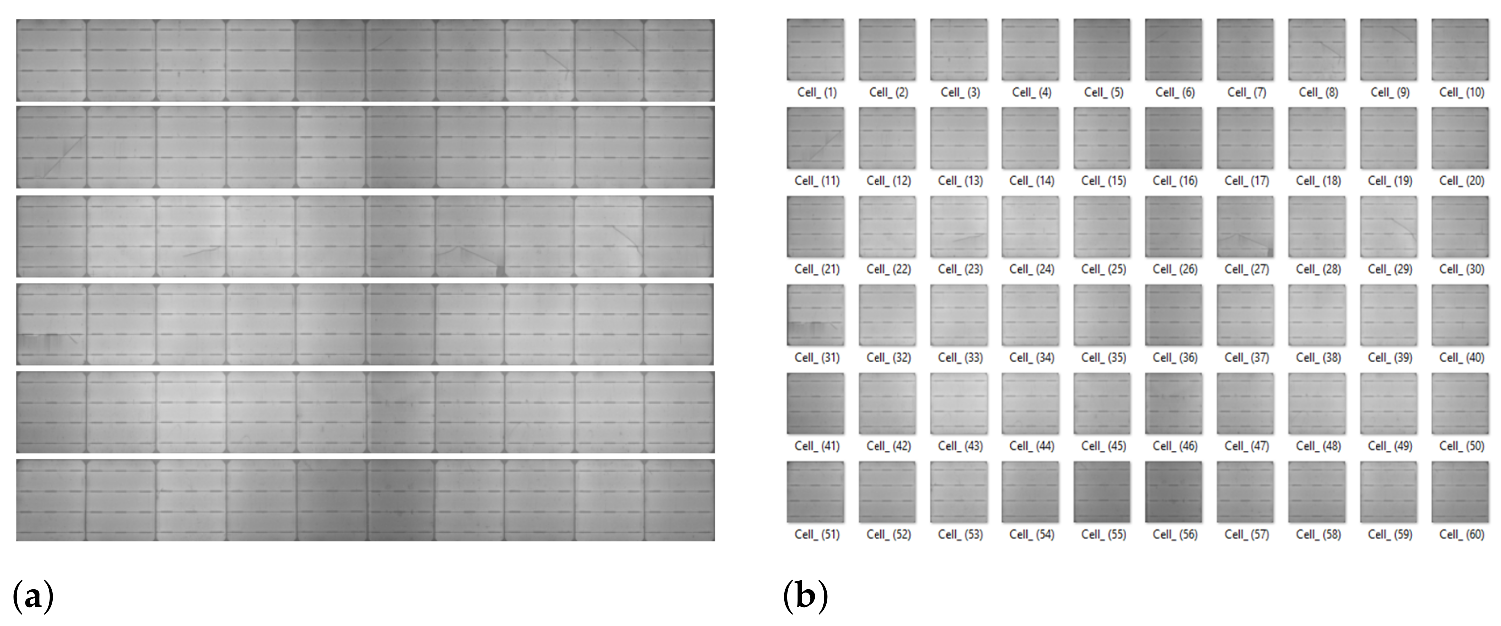 Sensors Free Full Text Efficient Cell Segmentation From Electroluminescent Images Of Single Crystalline Silicon Photovoltaic Modules And Cell Based Defect Identification Using Deep Learning With Pseudo Colorization Html