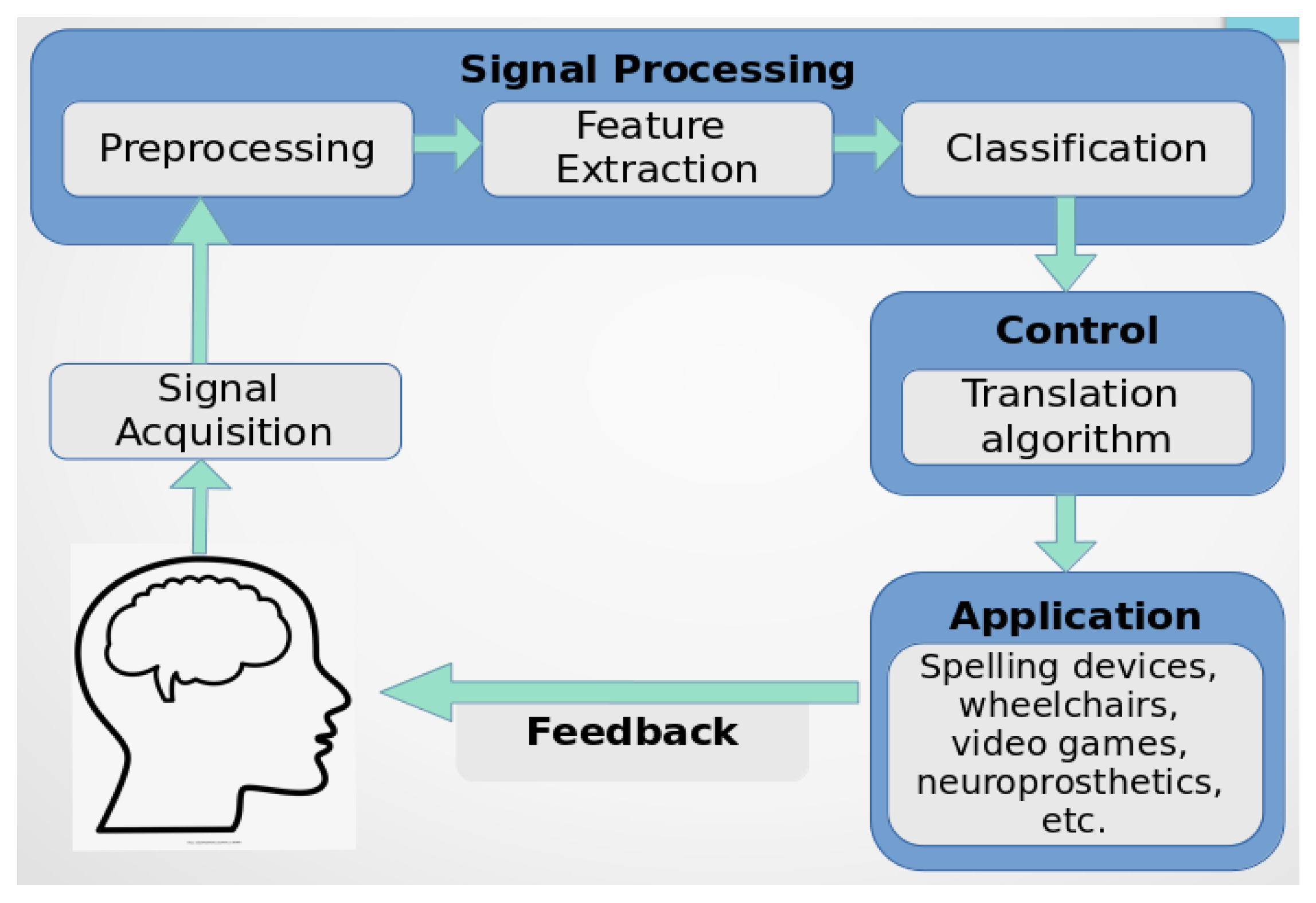 Who is applicant. Brain Computer interface. PROCARIOTS and eucariots systematics classification. How are applications released?.