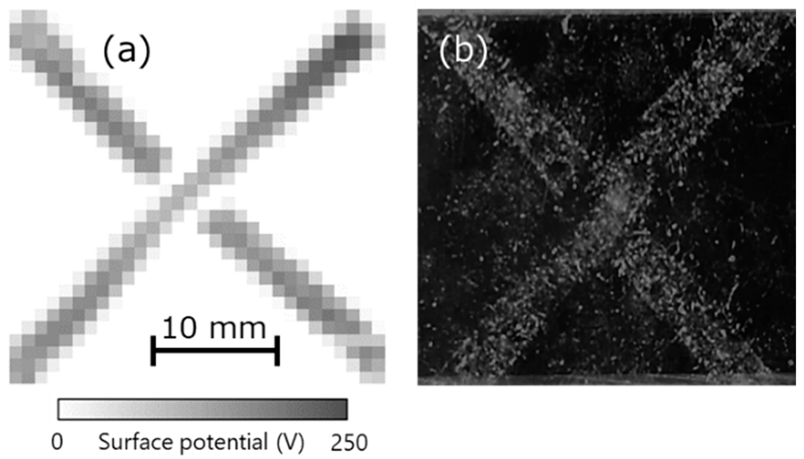 Sensors 21 04397 g010