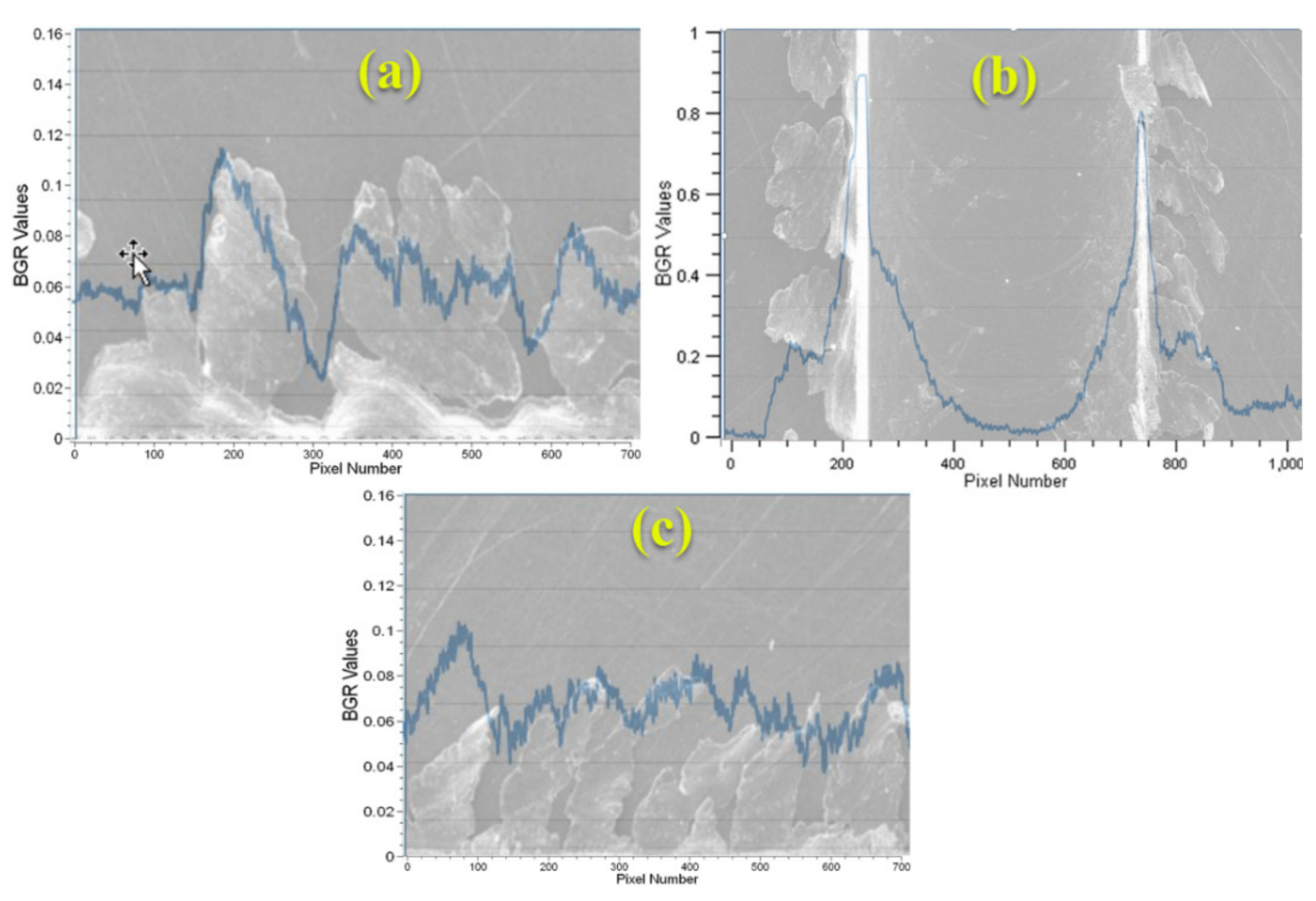 Sensors 21 04432 g006