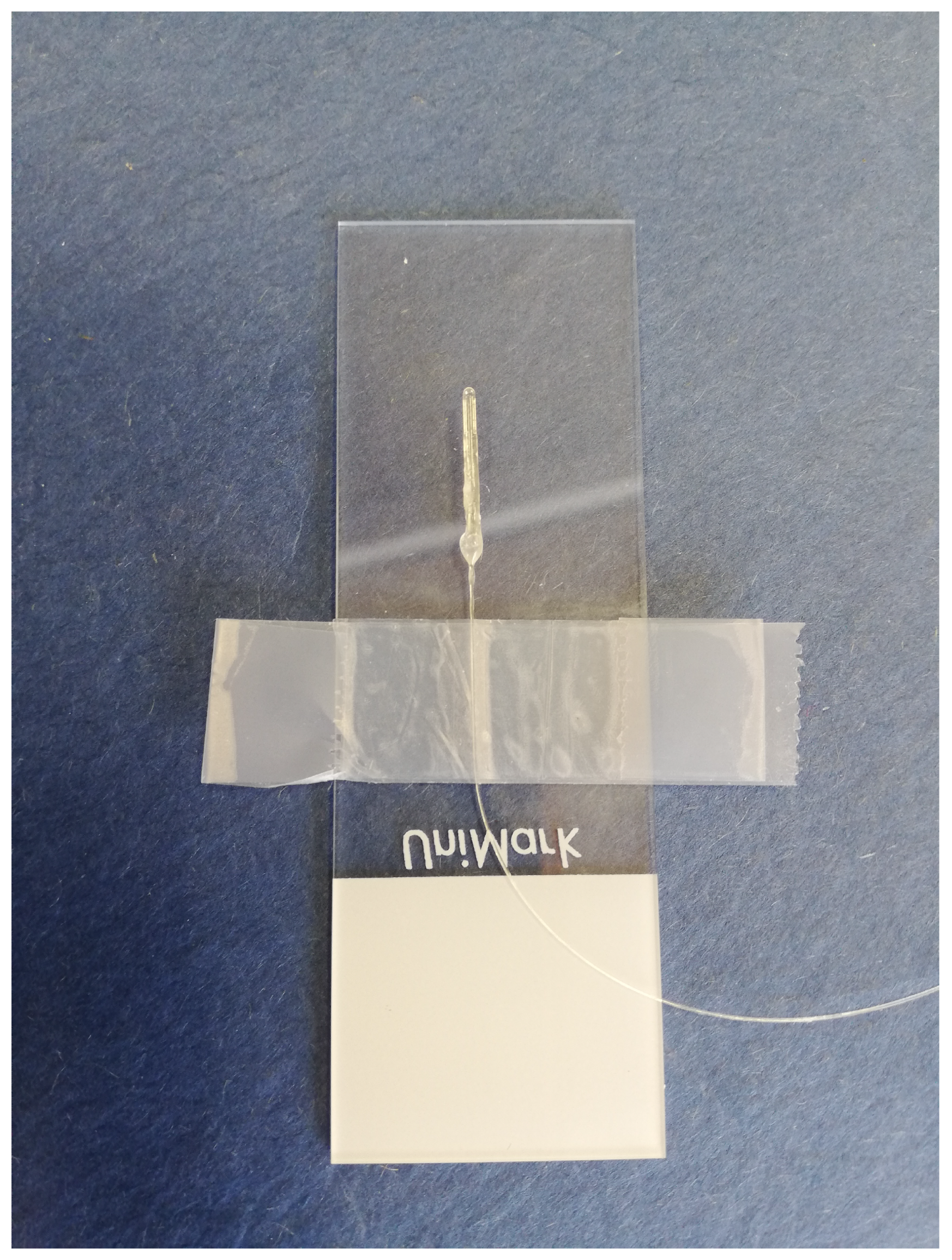 Sensors 21 04445 g009 Sensors 21 04445 g009