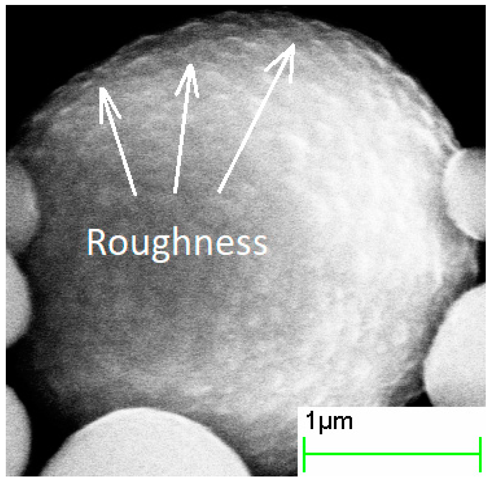 Sensors 21 04624 g006