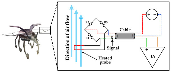 Evolution of the control signals using M2 and MM2 in the noise‐free case