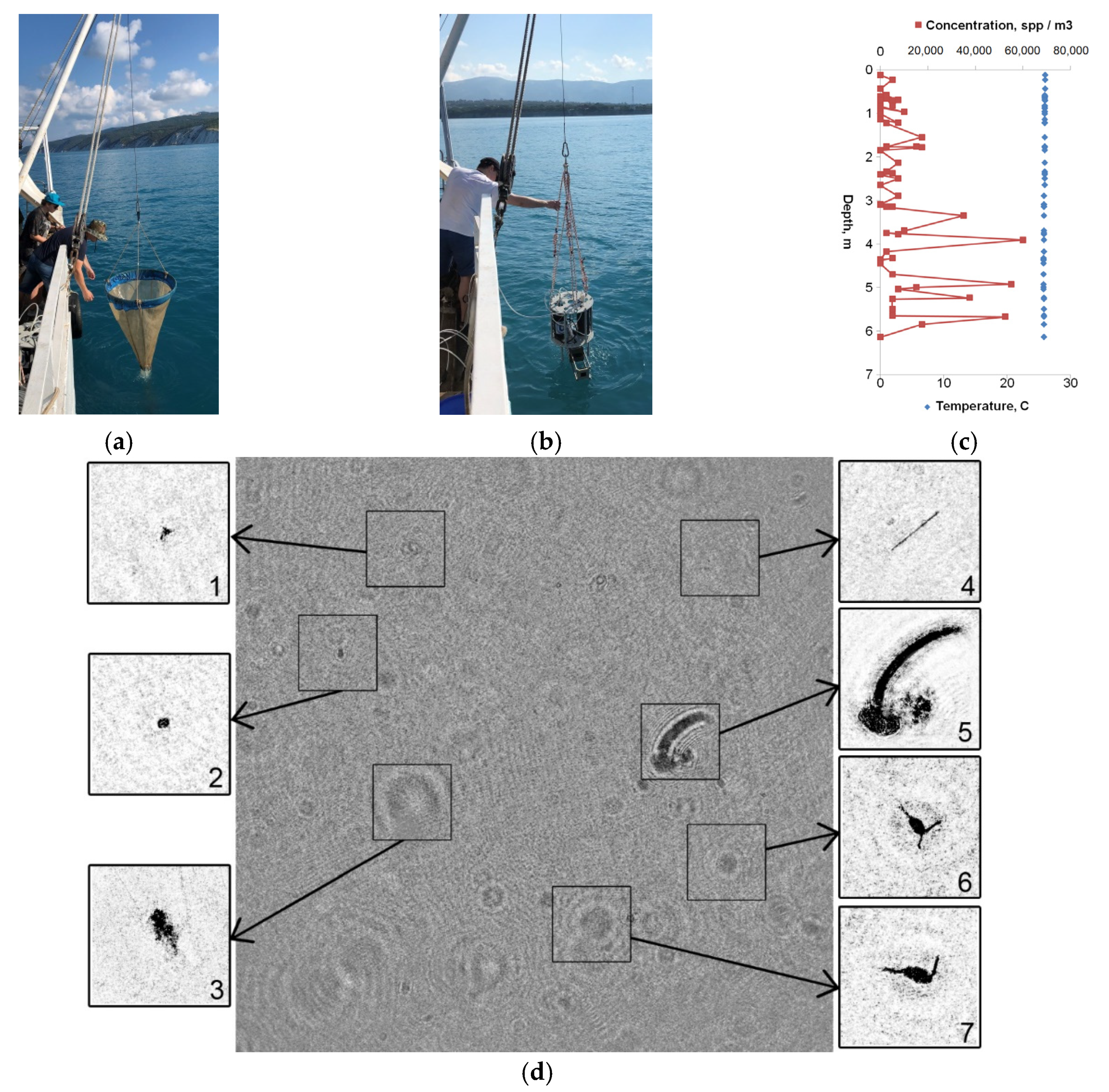 Sensors 21 04863 g005