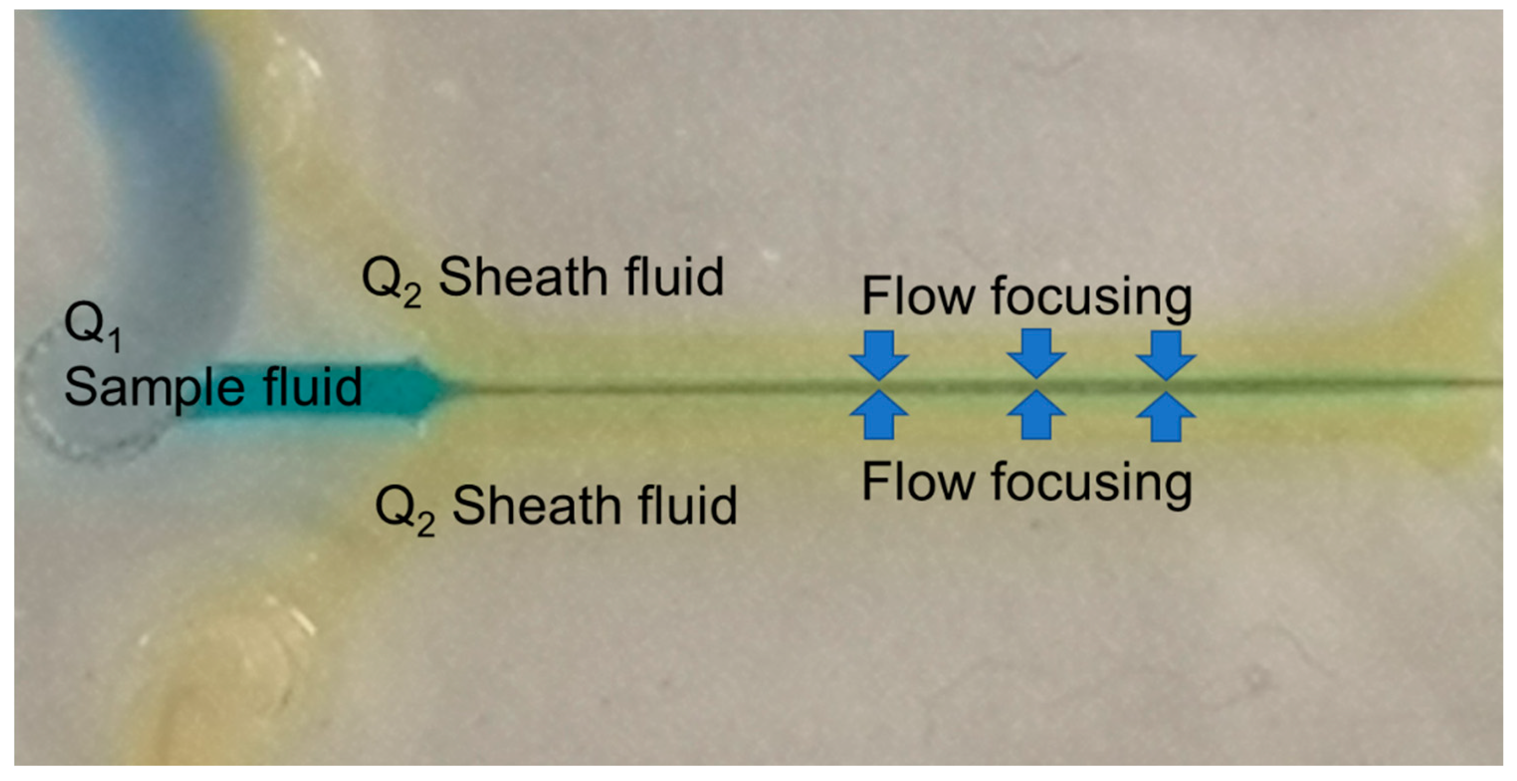 Sensors 21 04957 g002