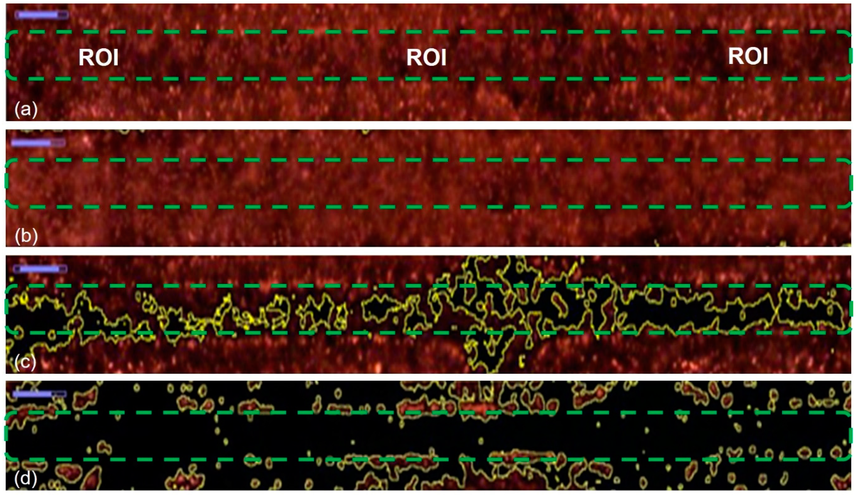 Sensors 21 04957 g009