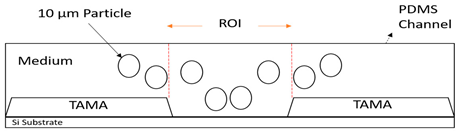 Sensors 21 04957 i006