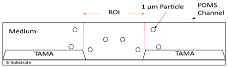 Sensors 21 04957 i010