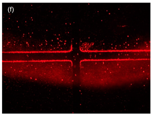 Sensors 21 04957 i011