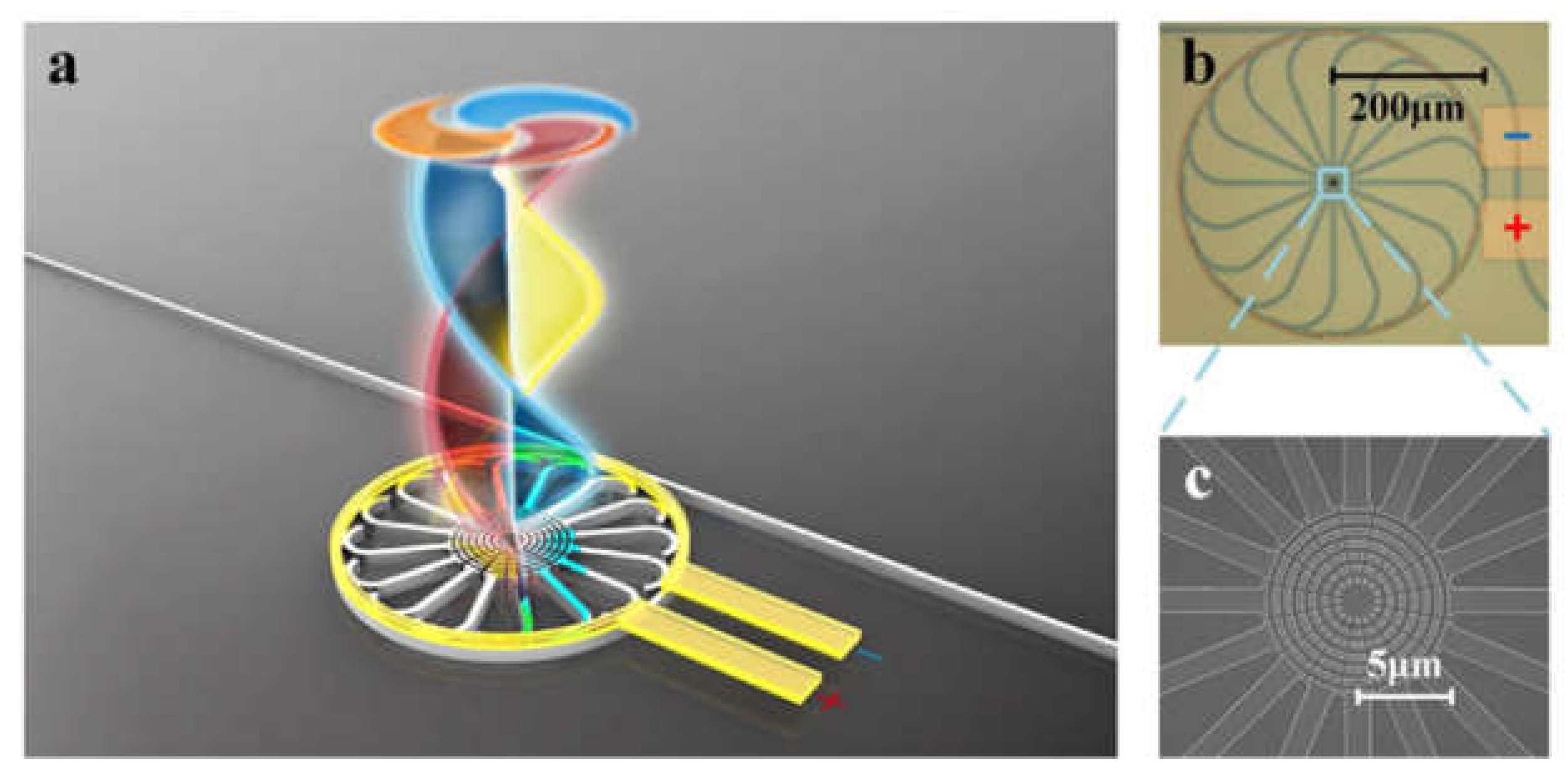 Sensors 21 04988 g007