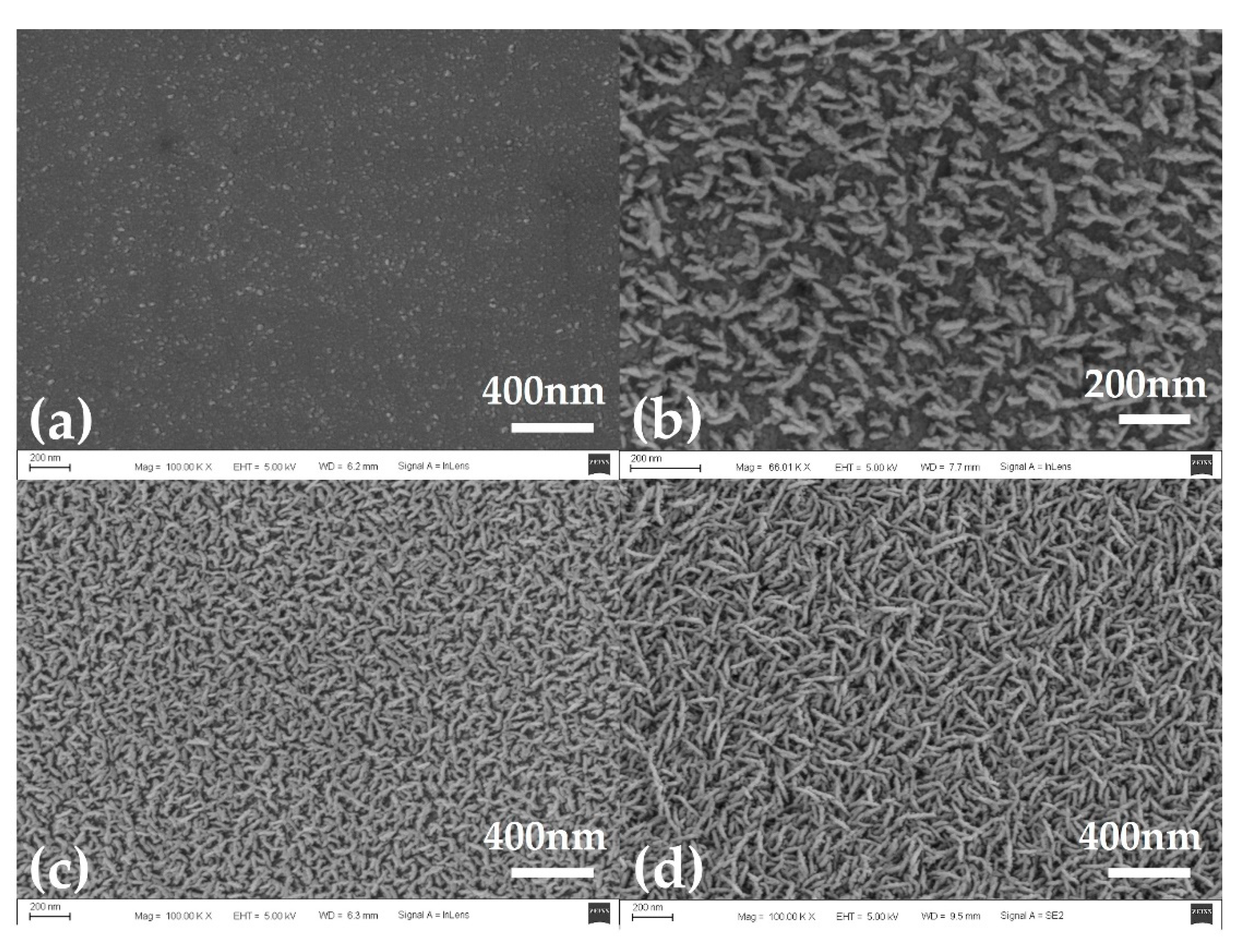 Sensors 21 04996 g006