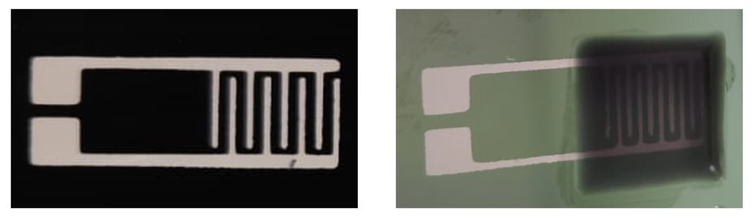 Sensors 21 05069 g013