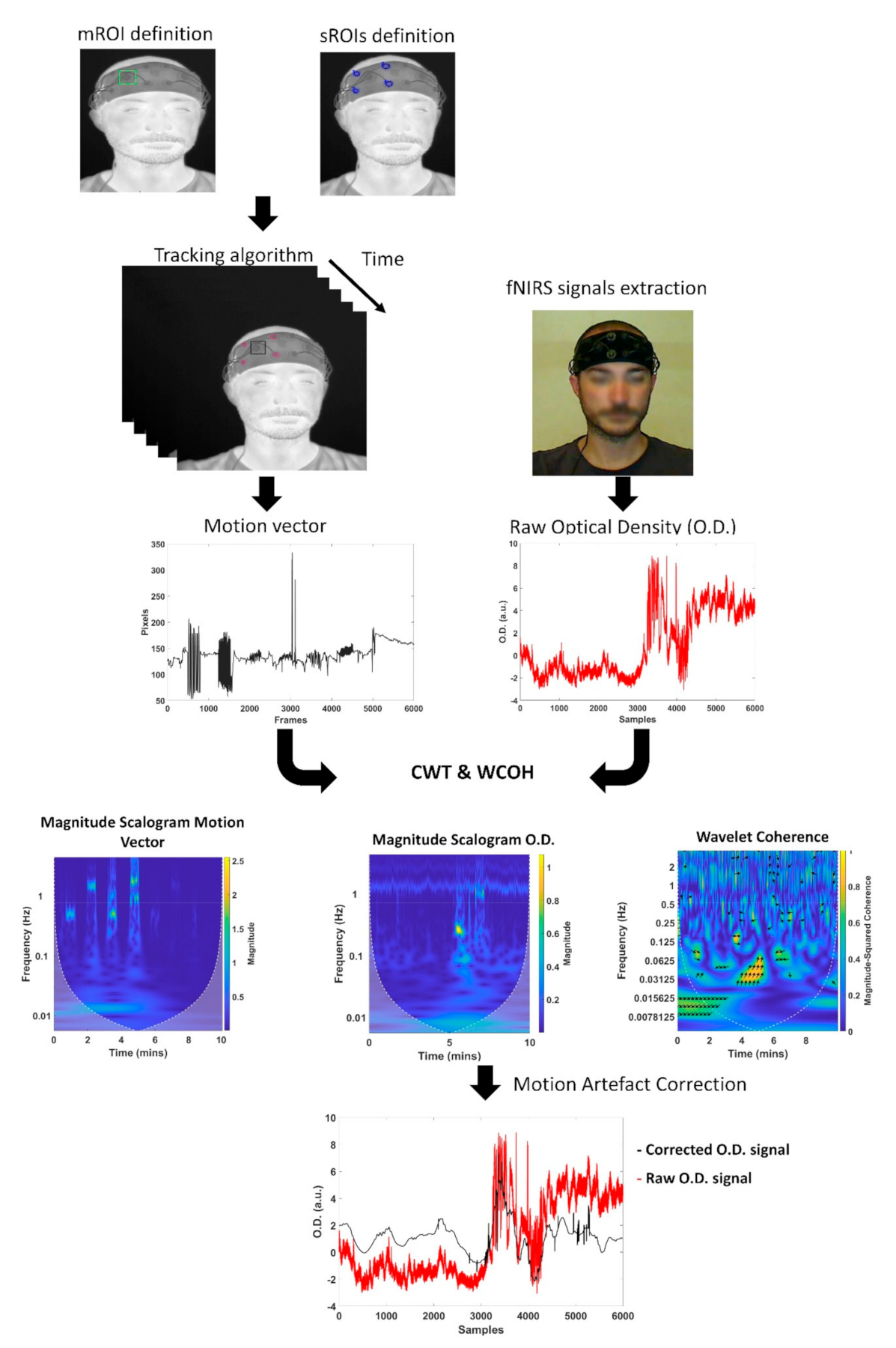 Sensors 21 05117 g005