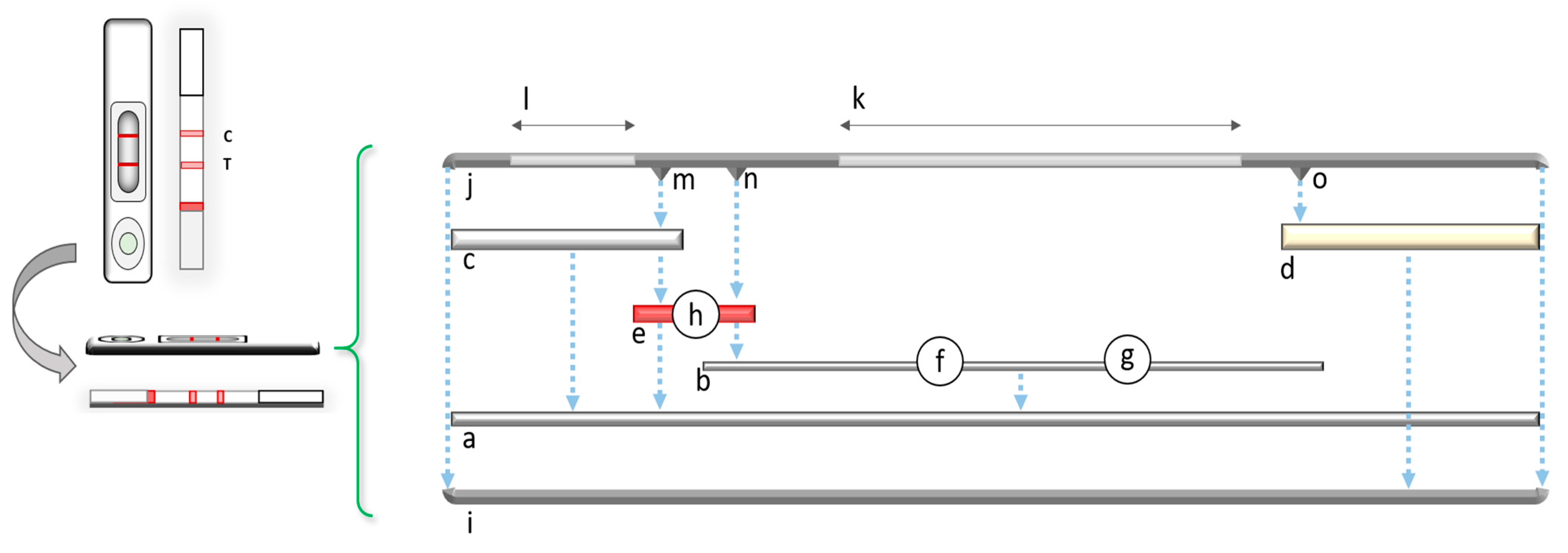 Sensors Free Full Text Ten Years Of Lateral Flow Immunoassay Technique Applications Trends Challenges And Future Perspectives Html