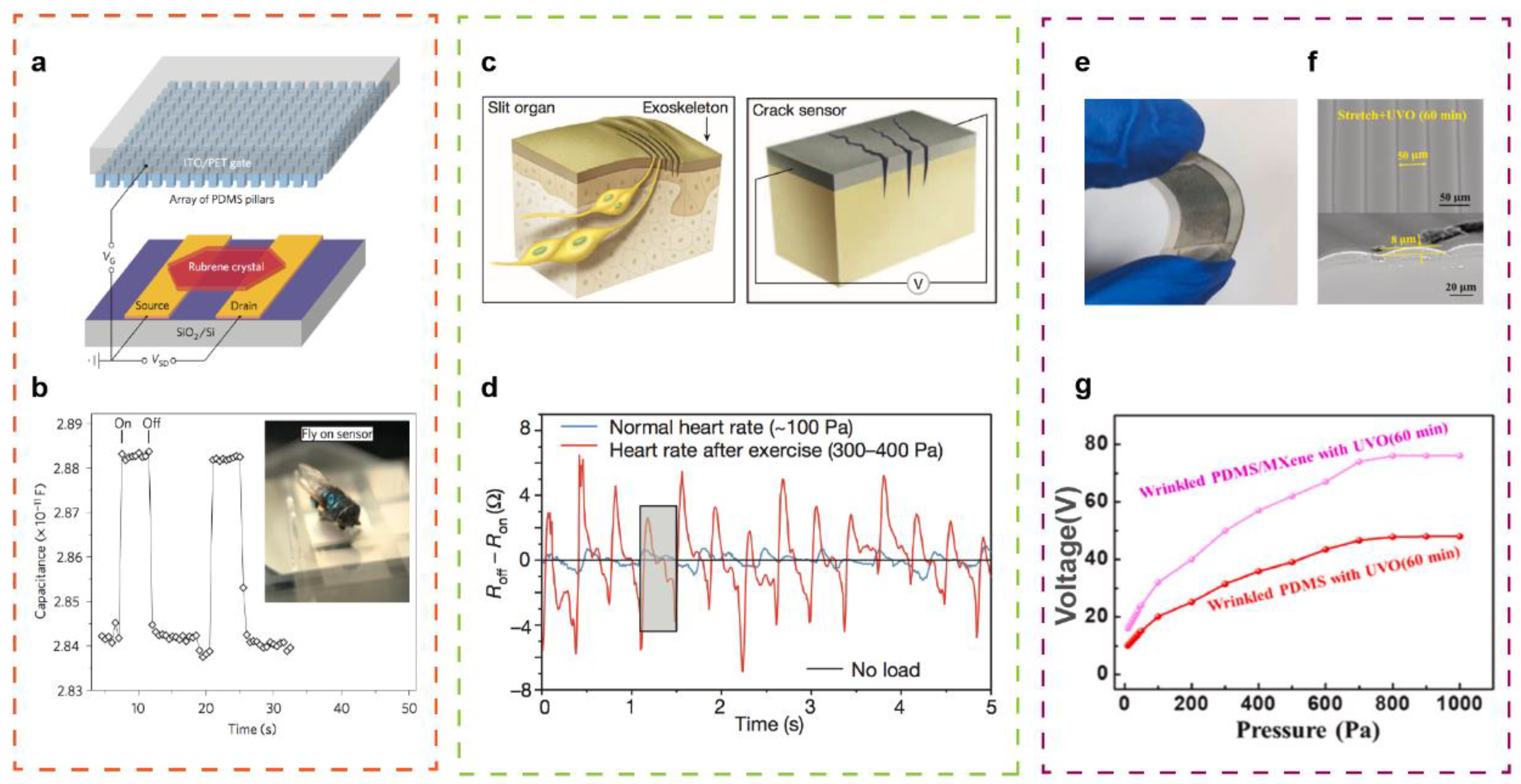 SensAct: The Soft and Squishy Tactile Sensor with Integrated Flexible  Actuator - Ozioko - 2021 - Advanced Intelligent Systems - Wiley Online  Library