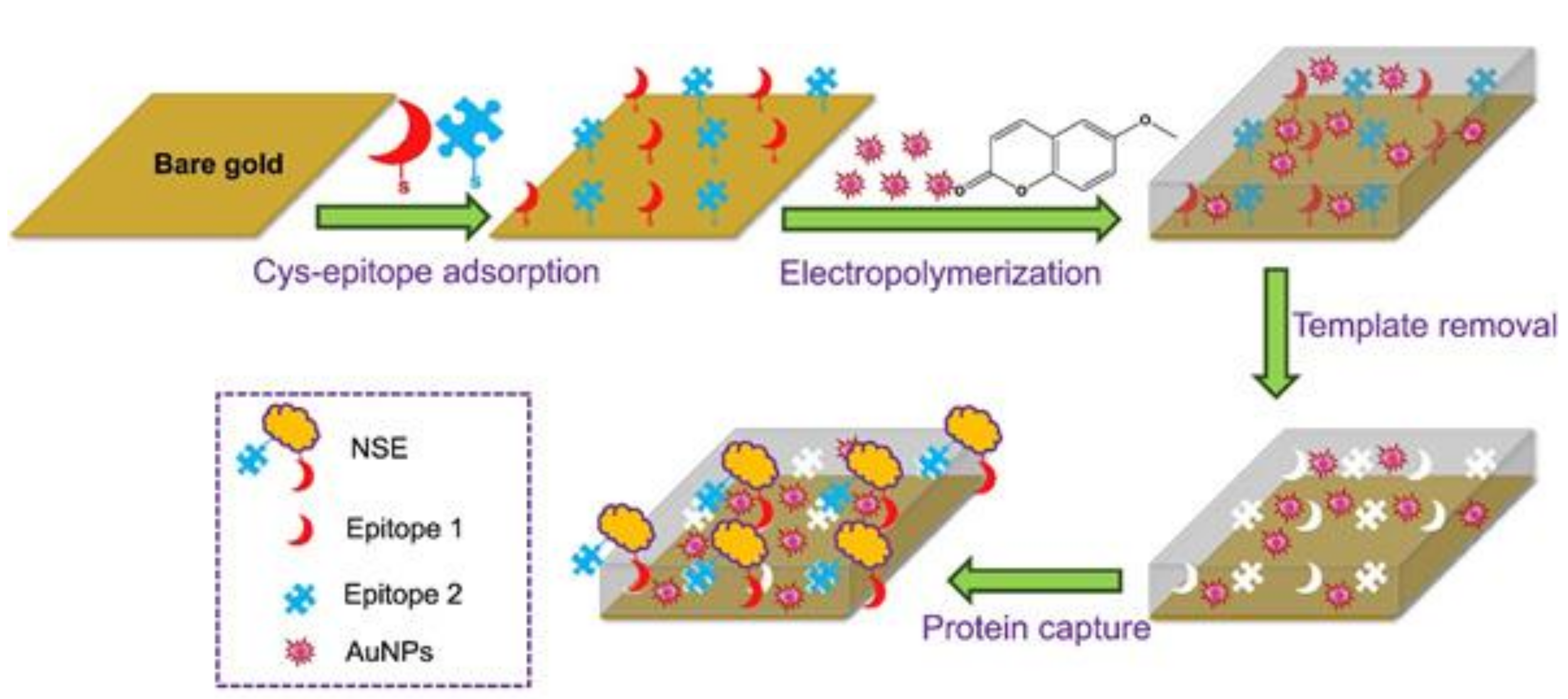 Sensors 21 05550 g002