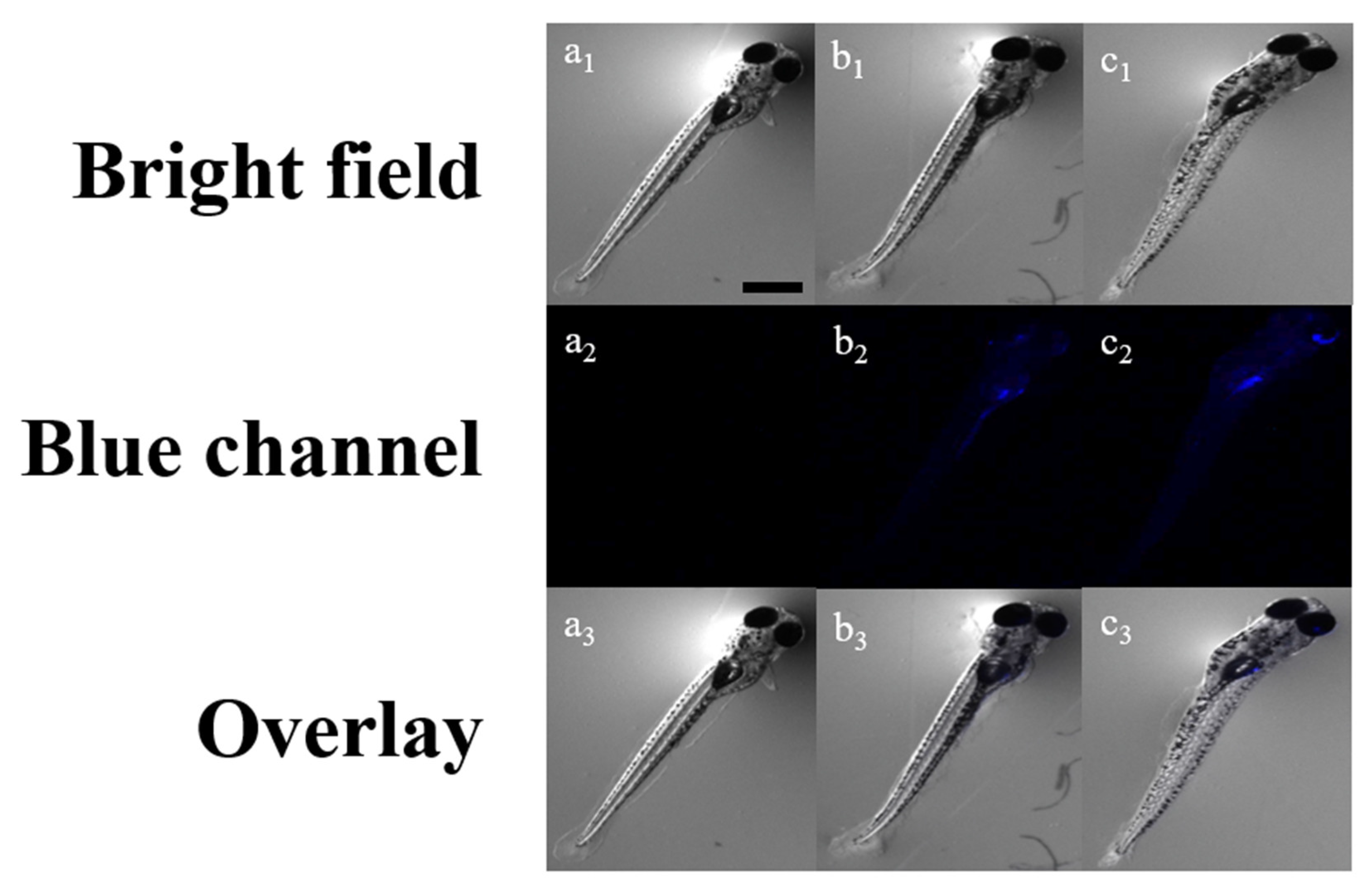 Sensors 21 05591 g003