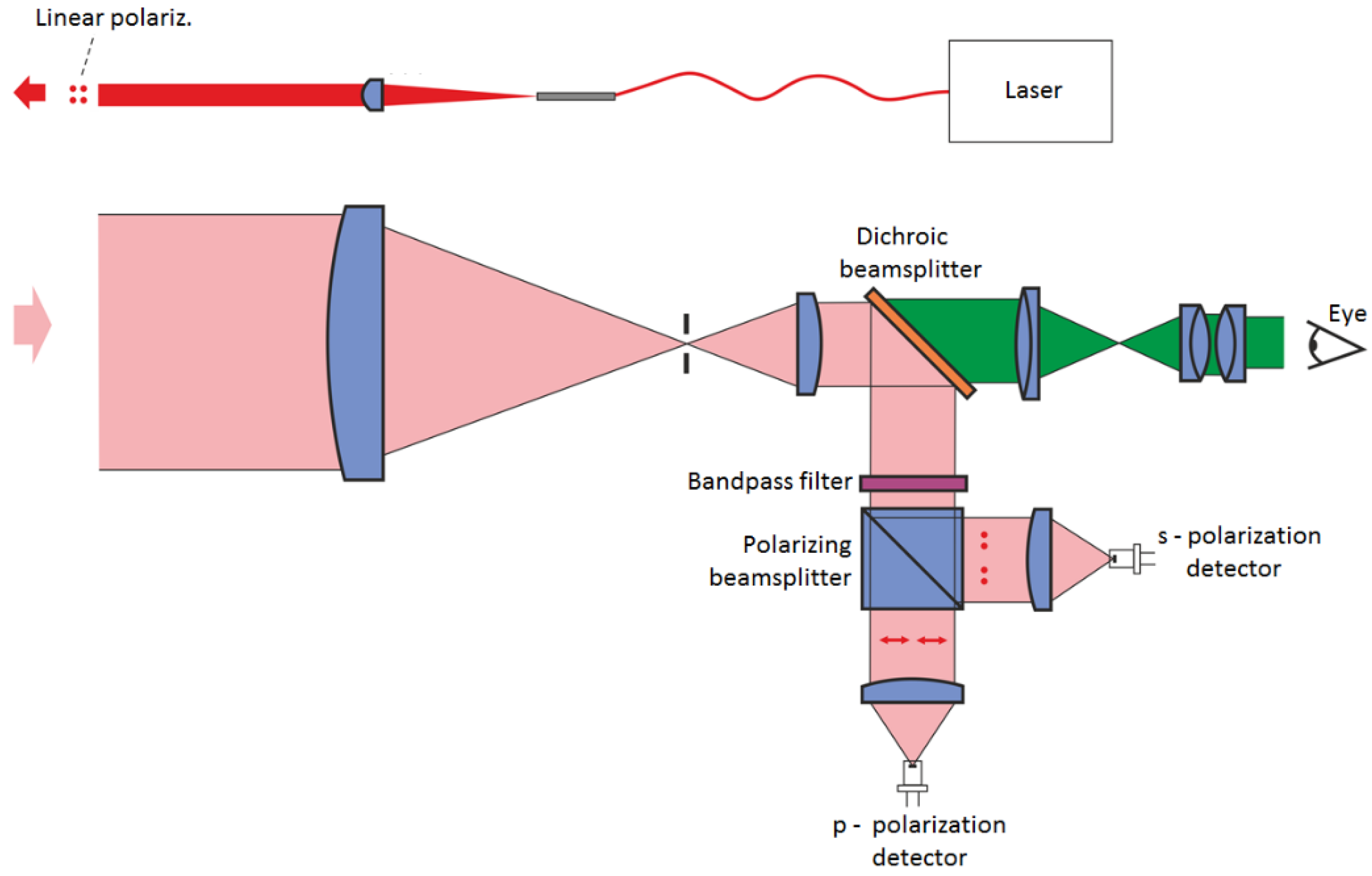 Sensors 21 05597 g003