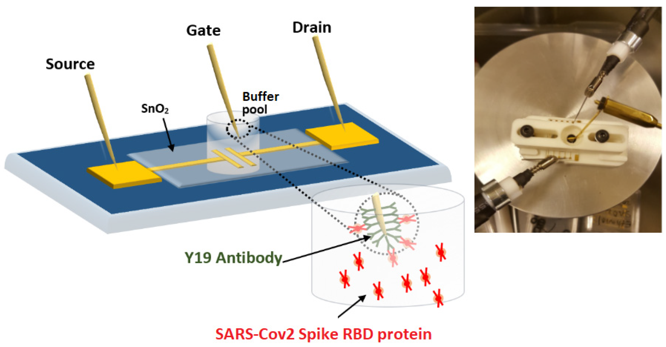 Sensors 21 05618 g001 Sensors 21 05618 g001