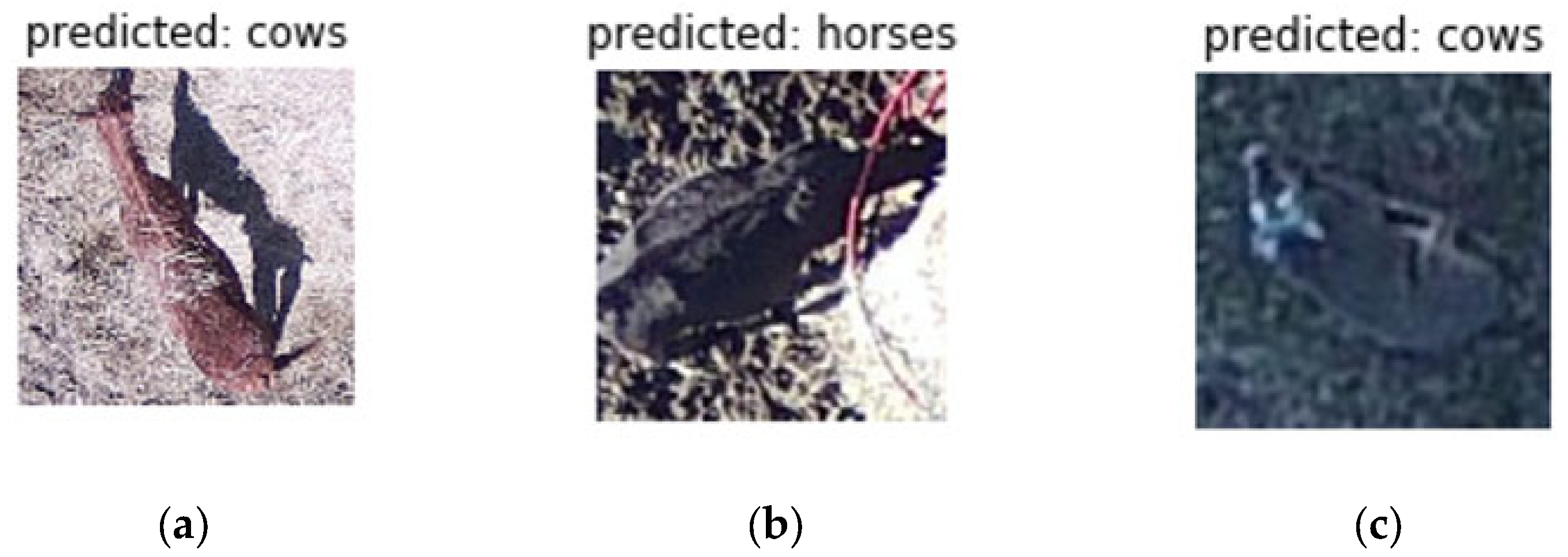 Sensors Free Full Text Improving Animal Monitoring Using Small