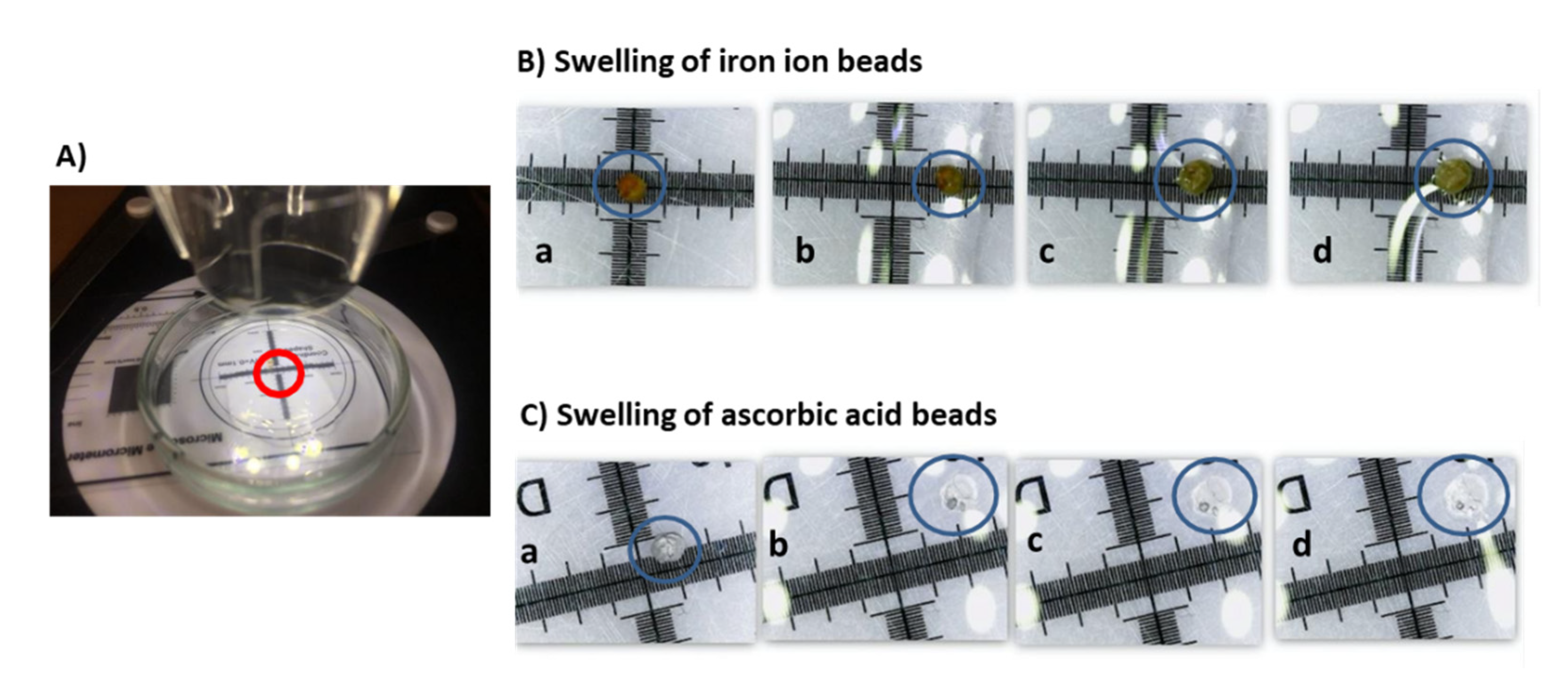 Sensors 21 05781 g002 Sensors 21 05781 g002