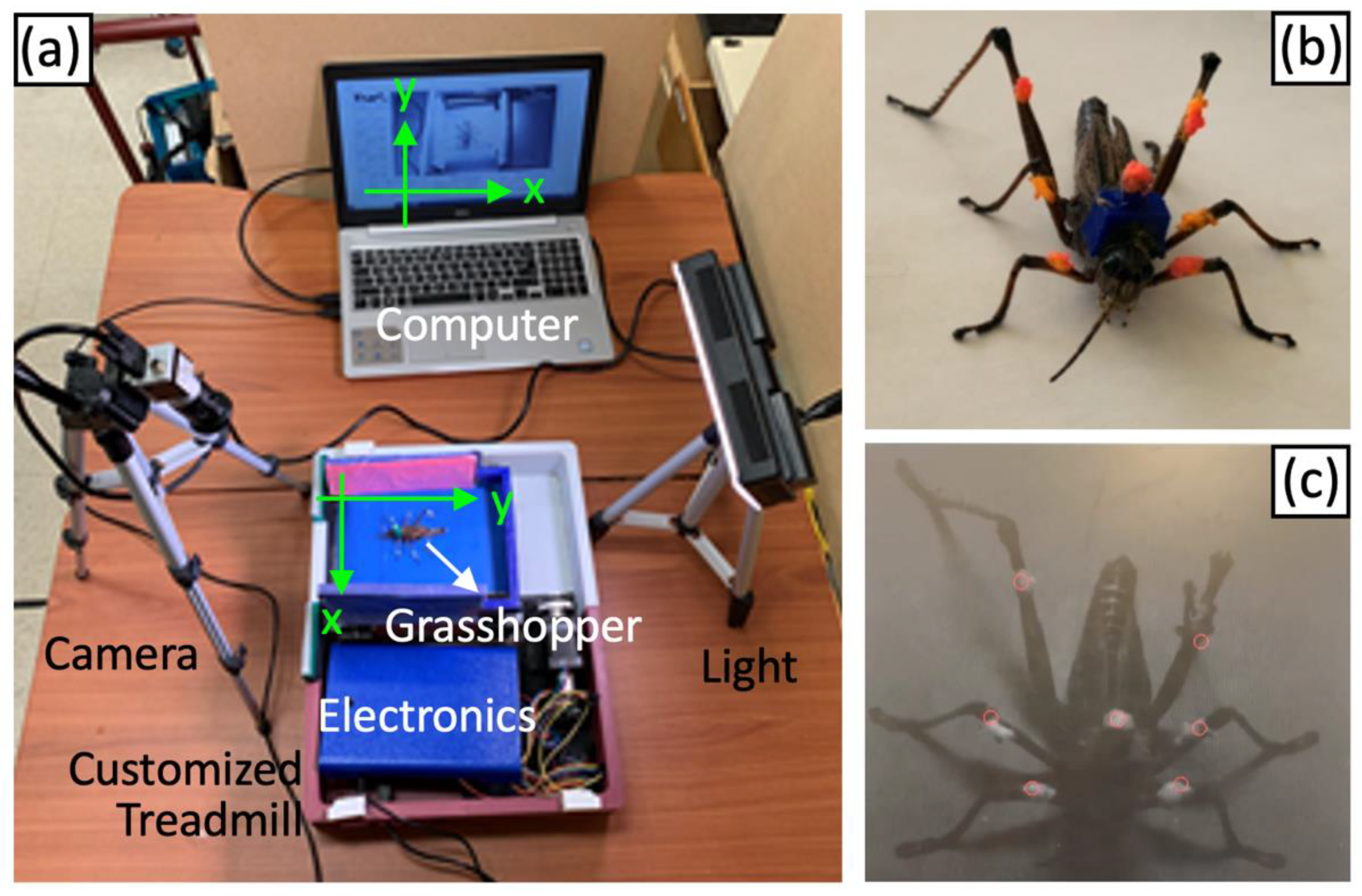Sensors 21 05953 g006