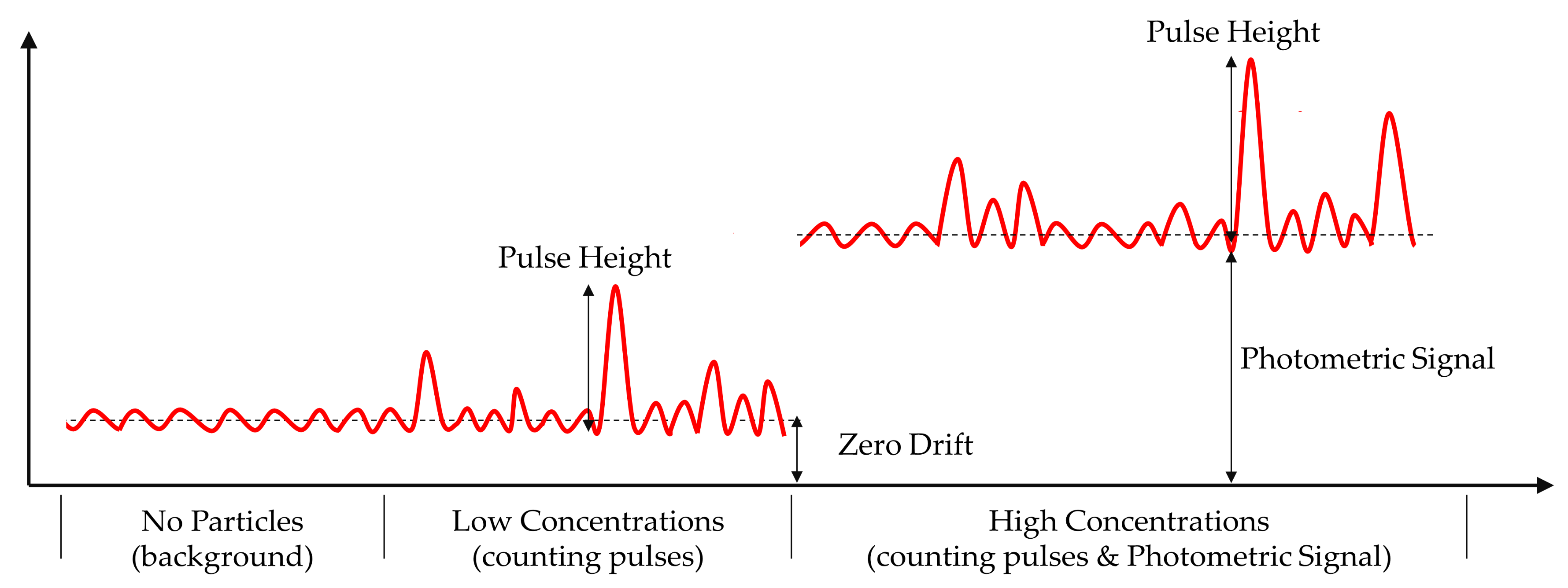 Sensors 21 05977 g007