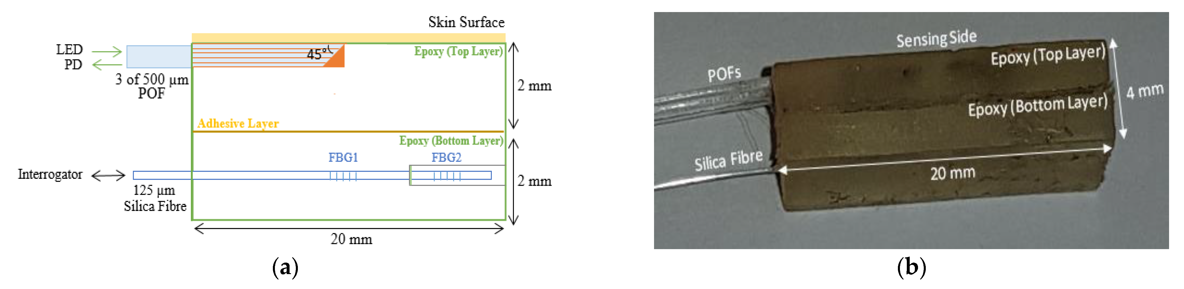Sensors 21 06072 g003