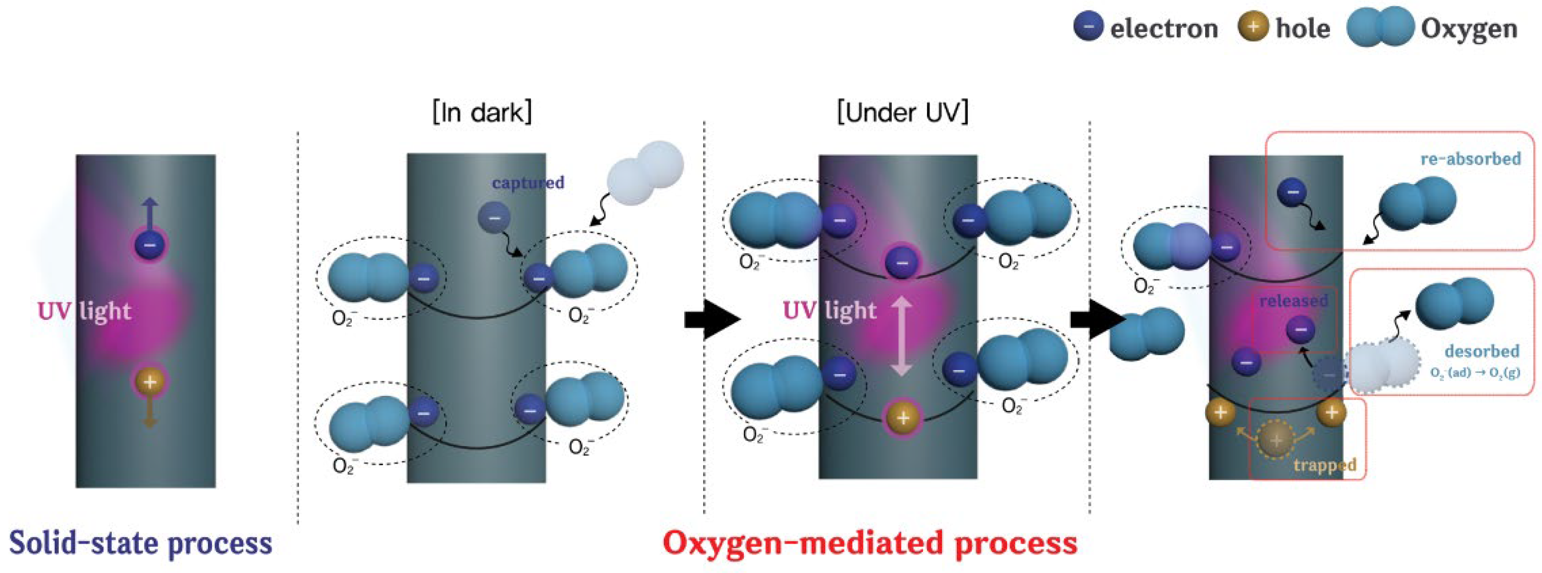 Sensors 21 06124 g006