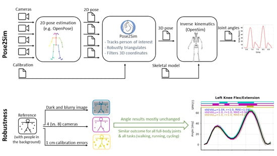 Sensors | Free Full-Text | Pose2Sim: An End-to-End Workflow For 3D ...