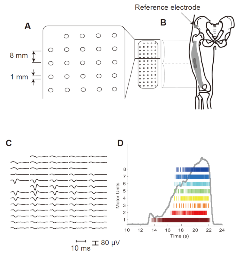 Sensors 21 06615 g001 Sensors 21 06615 g001