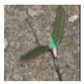 Sensors 21 06705 i006