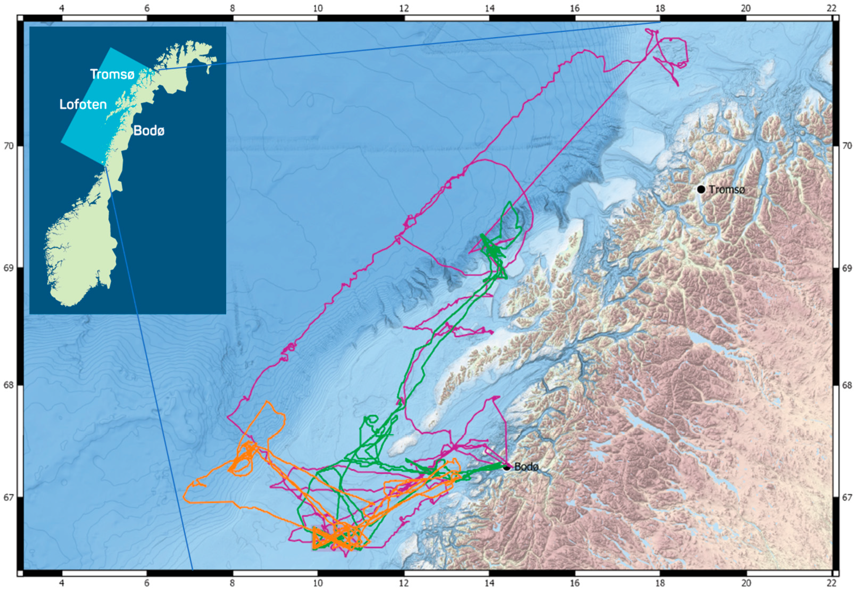Sensors 21 06752 g002