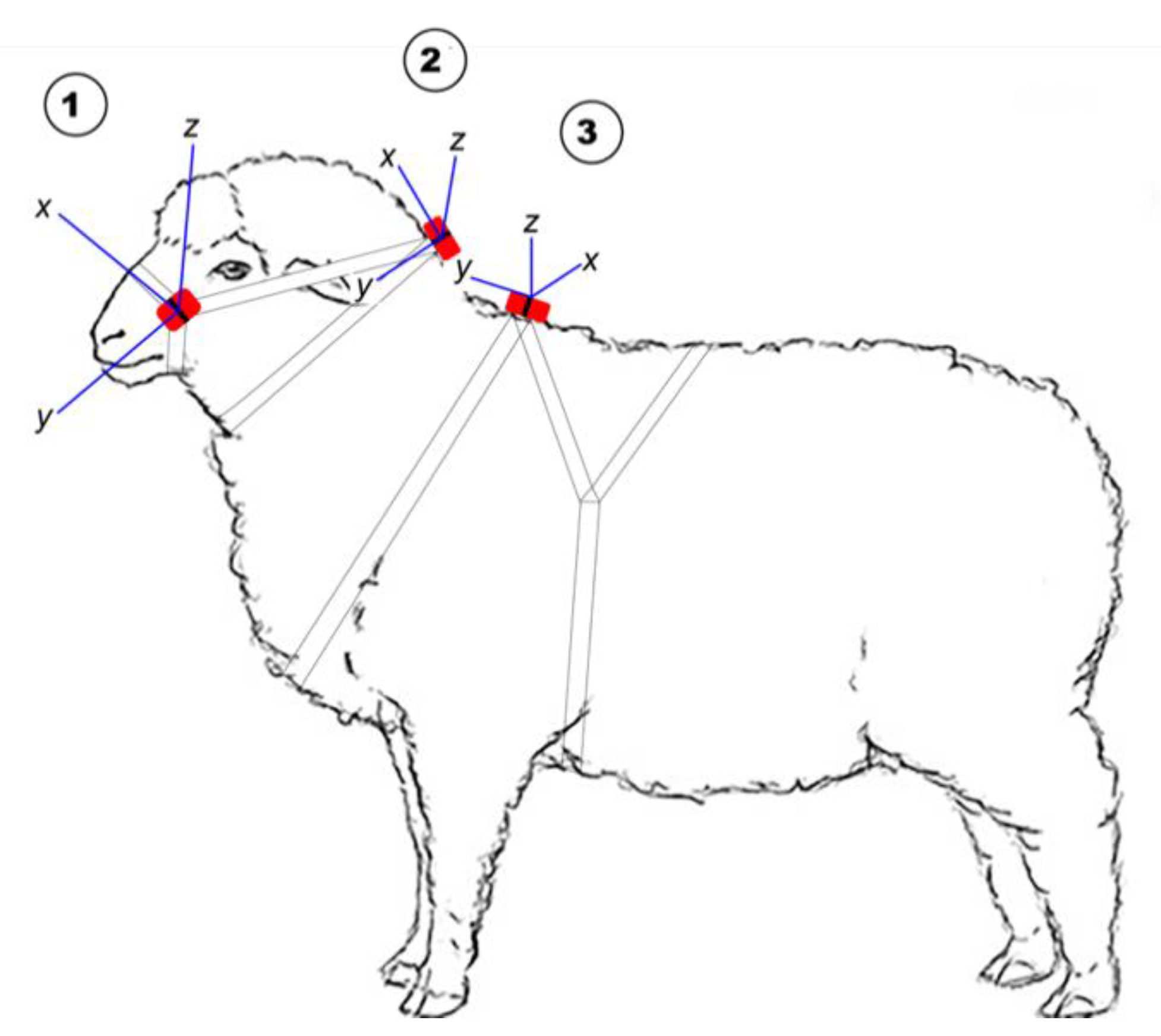 Sensors | Free Full-Text | What Are Sheep Doing? Tri-Axial Accelerometer  Sensor Data Identify the Diel Activity Pattern of Ewe Lambs on Pasture