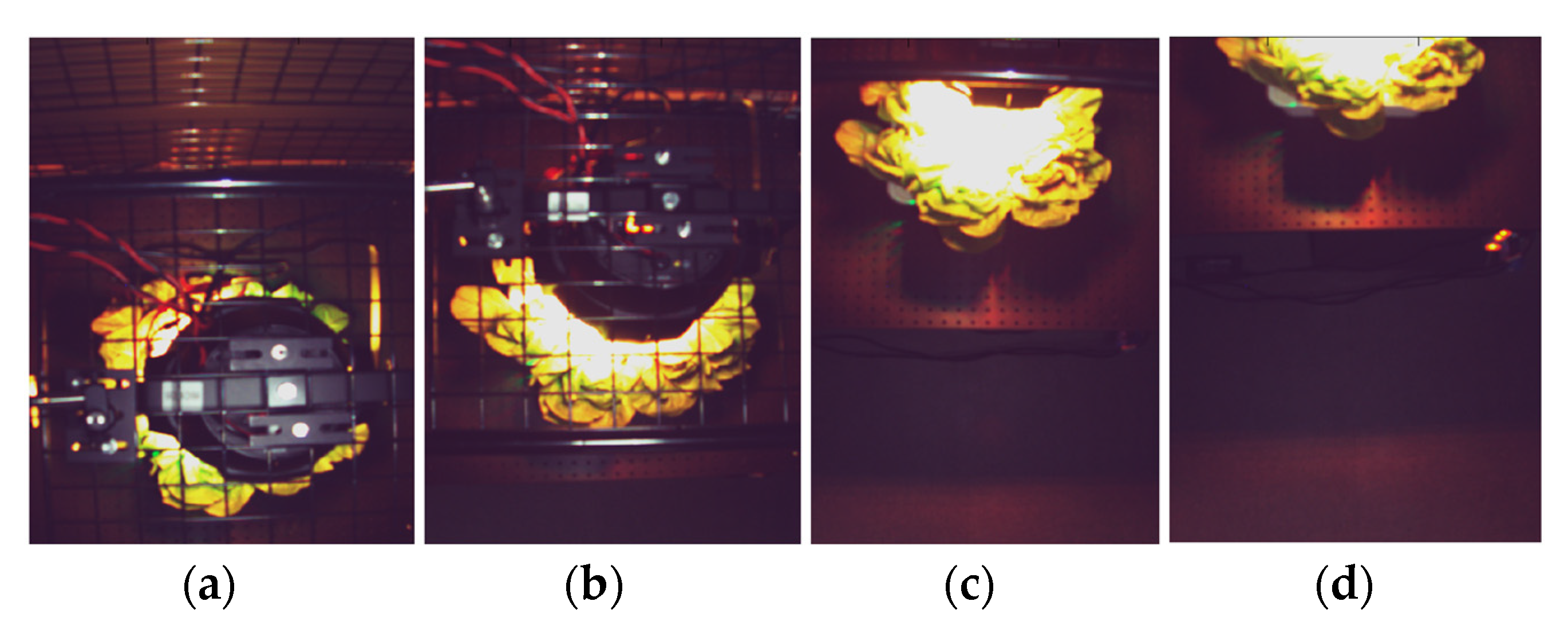 Sensors 21 06833 g007