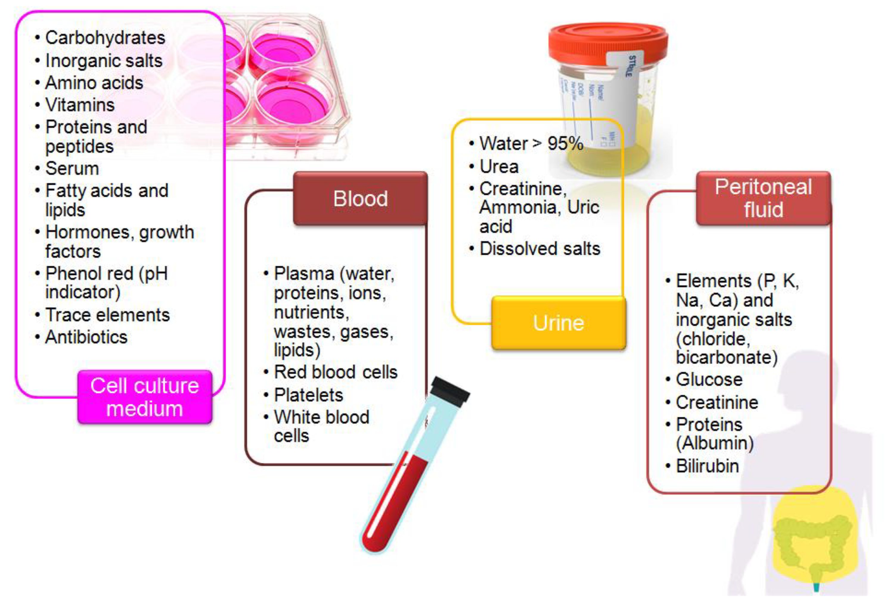 Sensors 21 07152 g002 Sensors 21 07152 g002
