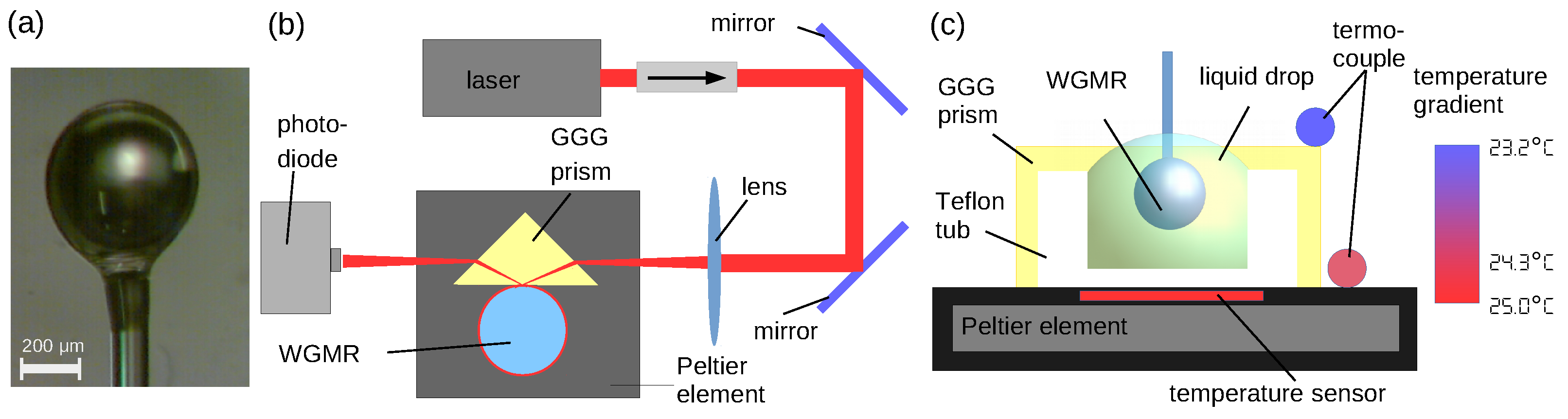 Sensors 21 07184 g001
