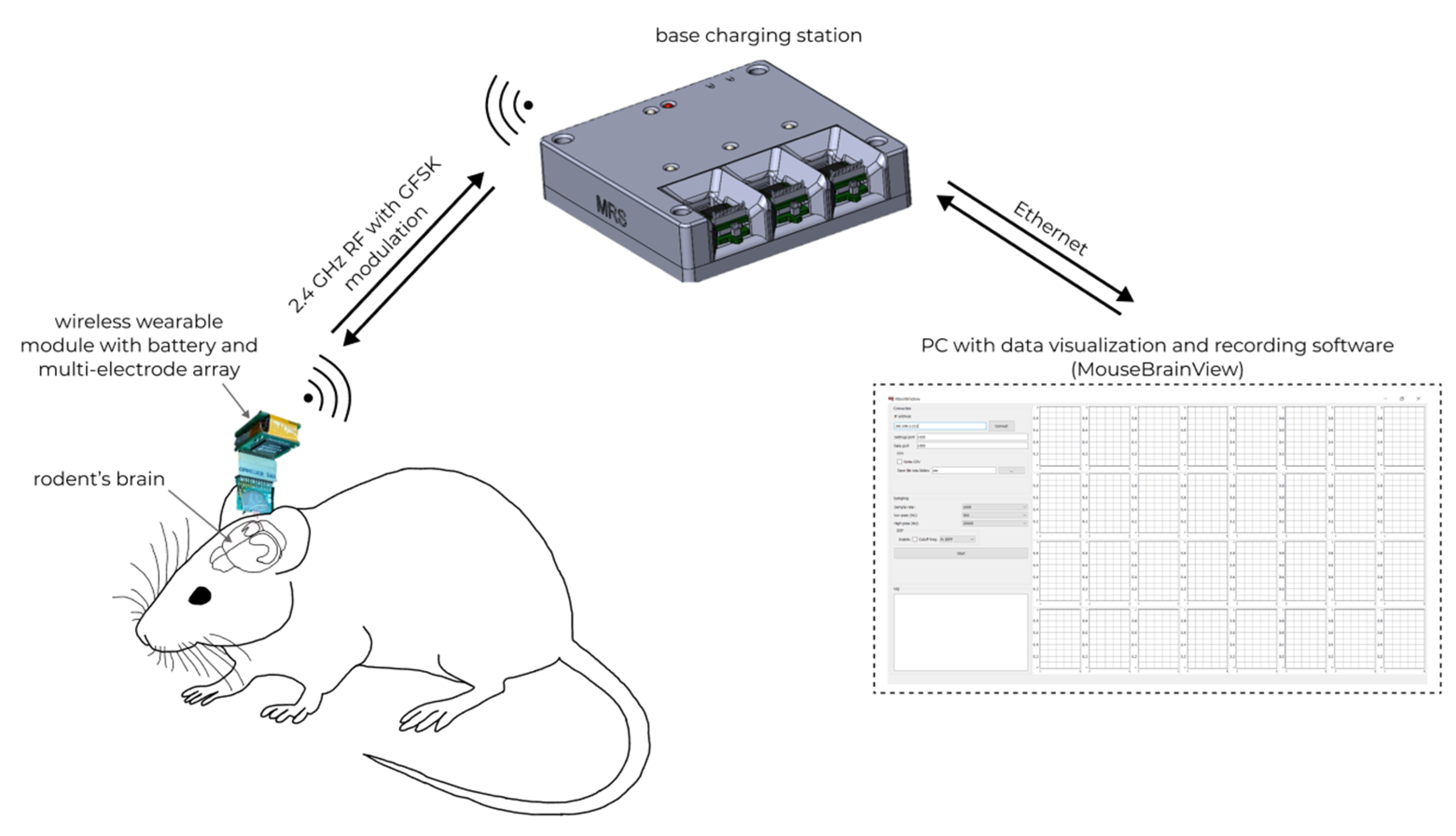 Sensors | Free Full-Text | An Open-Source Wireless Electrophysiological  Complex for In Vivo Recording Neuronal Activity in the Rodent's Brain