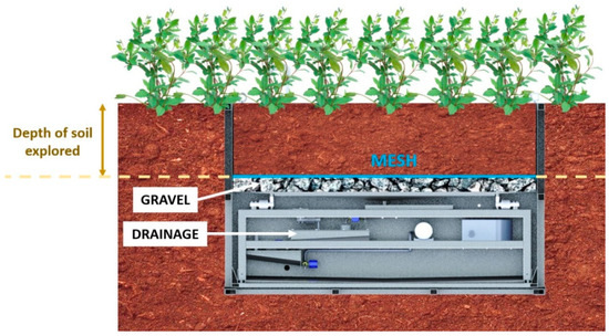 Sensors | Free Full-Text | Development of an Algorithm for an Automatic  Determination of the Soil Field Capacity Using of a Portable Weighing  Lysimeter