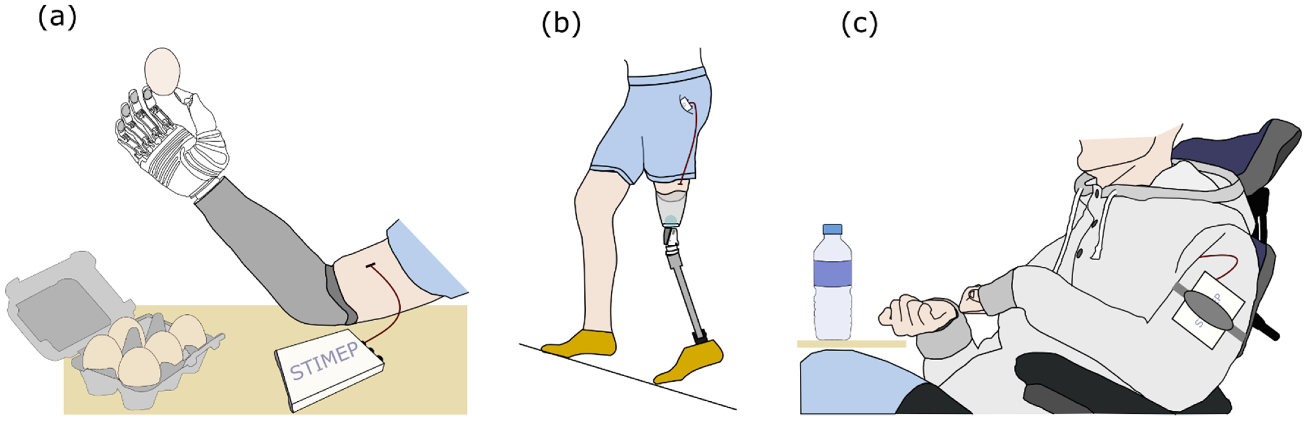 Sensors 21 07219 g007