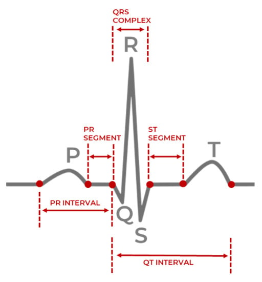 Purpose Games: Label the Heart Interactive for 9th - 10th Grade