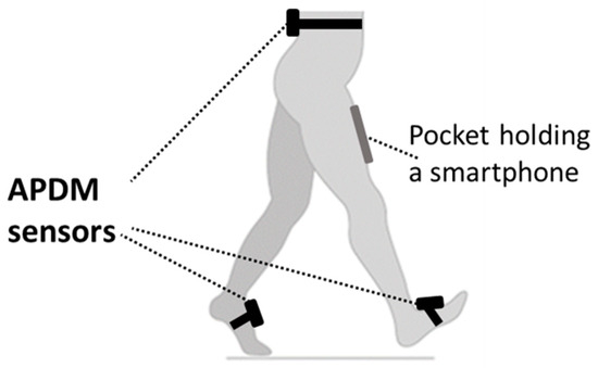 Sensors | Free Full-Text | Gait Analysis Using Accelerometry Data from a  Single Smartphone: Agreement and Consistency between a Smartphone  Application and Gold-Standard Gait Analysis System
