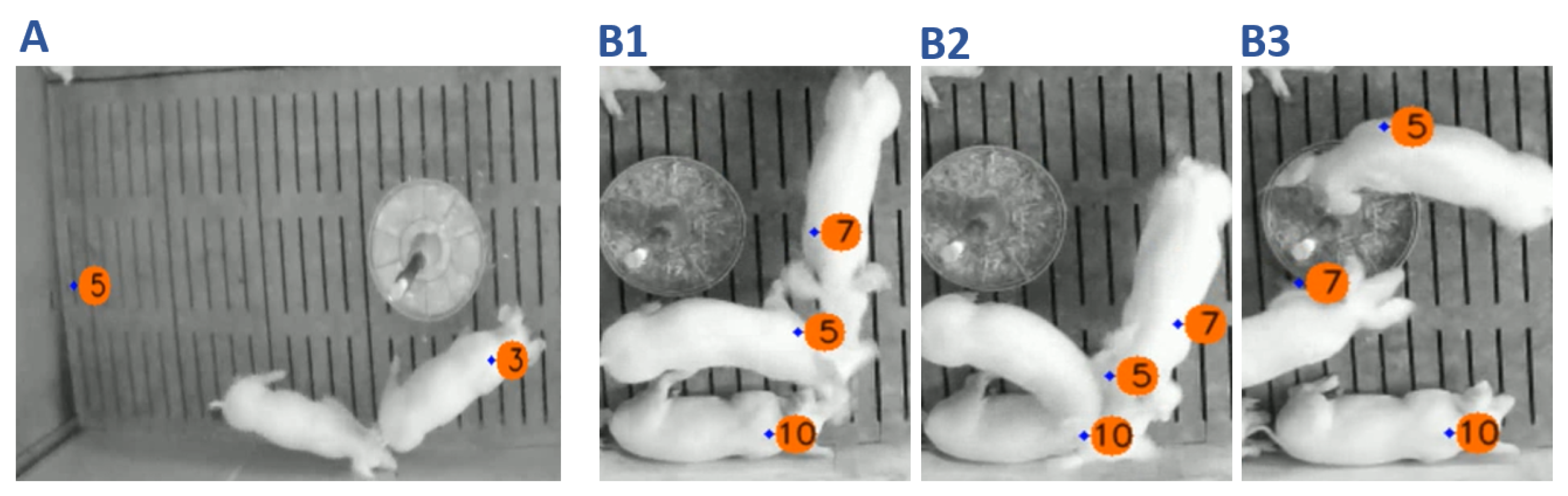 Sensors 21 07512 g009